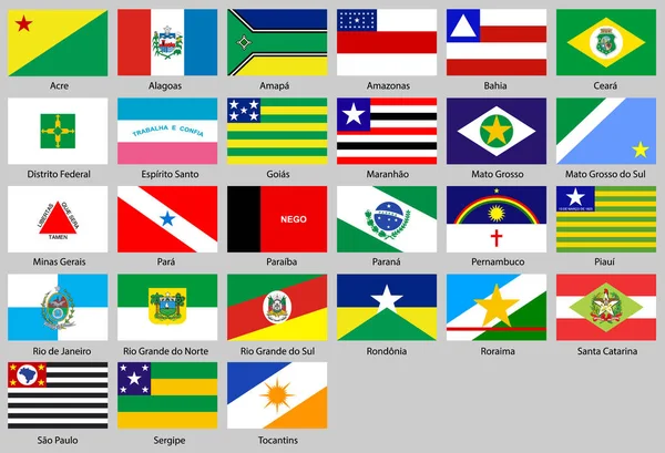 Vector Illustration Different Countries Flags Set All Flags Brazil States — Stock Vector