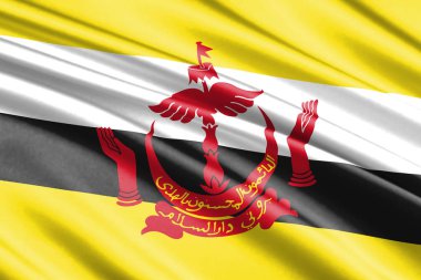 güzel renkli dalgalanan bayrak Brunei
