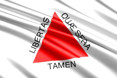 güzel renkli dalgalanan bayrak devletinin Minas Gerais, Brezilya 