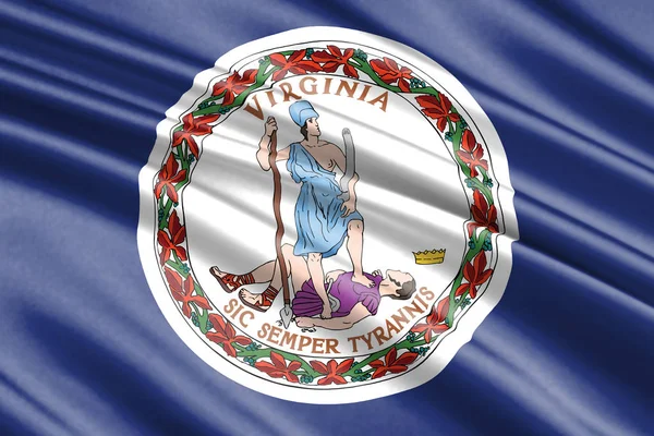 美丽的彩色挥舞着弗吉尼亚州国旗 — 图库照片