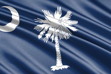 Güney Carolina state, ABD güzel renkli dalgalanan bayrağı