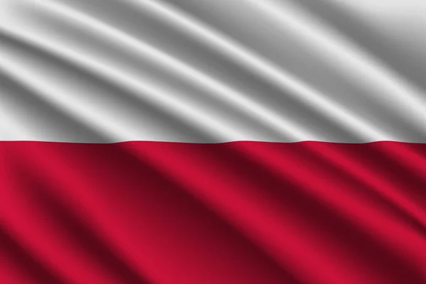 Güzel Renkli Dalgalanan Bayrak Polonya Vektör Illüstrasyon — Stok Vektör