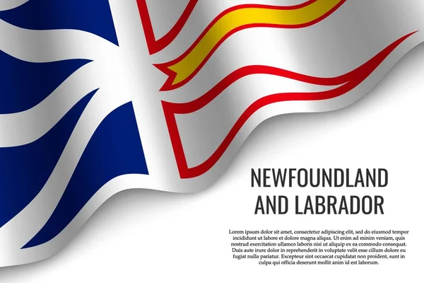 Agitant Drapeau Terre Neuve Labrador Est Une Région Canada Sur — Image vectorielle