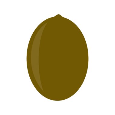 Bahçe kivi simgesi. Vektör çizim, beyaz arka plan üzerinde Isolatrd