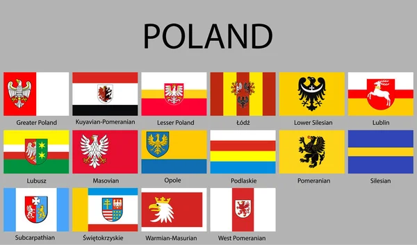 Todas Las Banderas Las Regiones Polonia Ilustración Vectorial — Vector de stock
