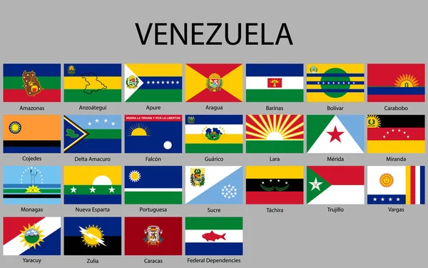 Todos Los Estados Banderas Venezuela Ilustración Vectorial — Vector de stock