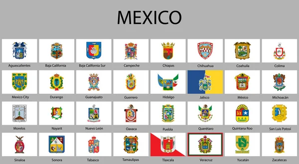 Alle Vlaggen Van Gebieden Van Mexico Vector Illustraion — Stockvector