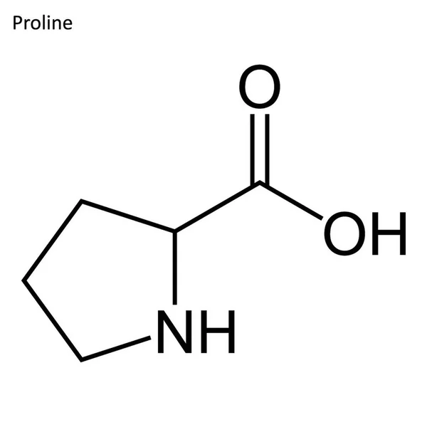 Skelet Formülü Amino Asit Molekül — Stok Vektör