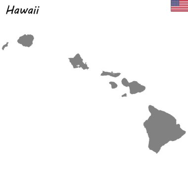 Yüksek kaliteli harita devlet Amerika Birleşik Devletleri. Hawaii