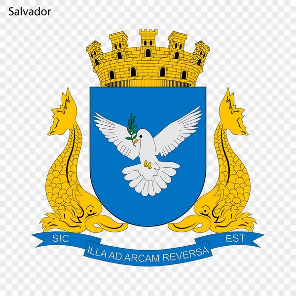 Emblem Salvador Staden Brasilien Vektorillustration — Stock vektor