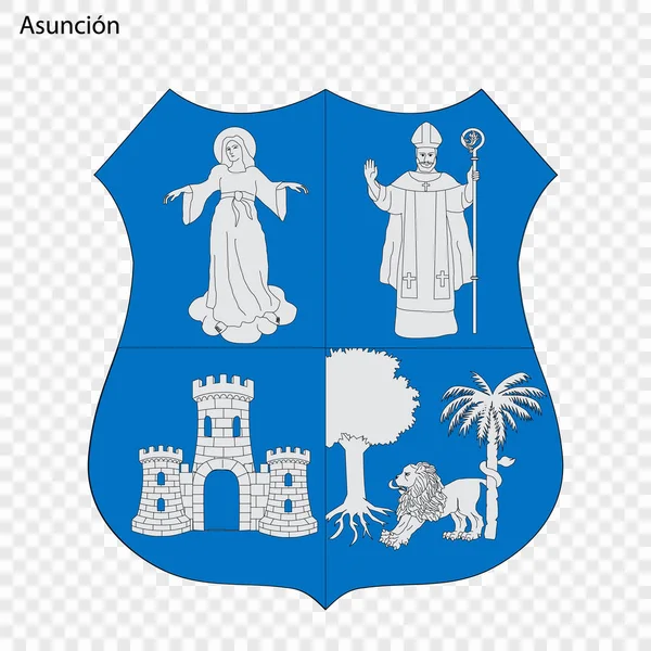 Emblema Asuncion Città Del Paraguay Illustrazione Vettoriale — Vettoriale Stock