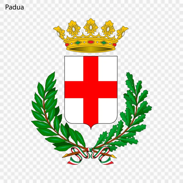 Emblema Padua Ciudad Italia Ilustración Vectorial — Vector de stock