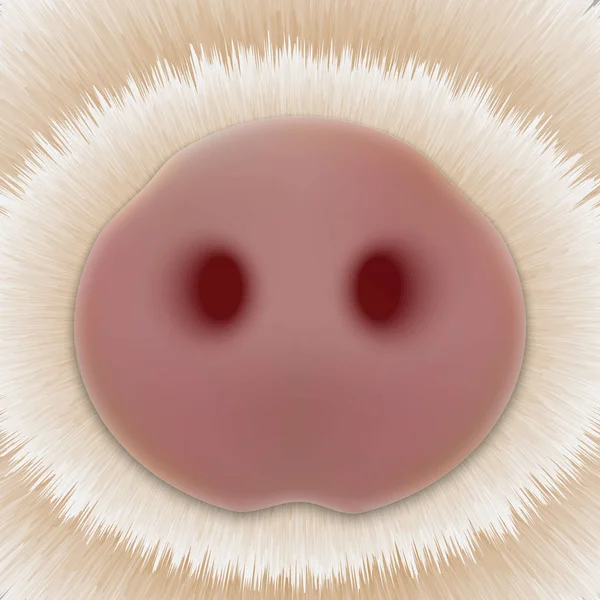 Schattige Neus Van Het Varken Hoofd Van Kleine Piggy Vectorillustratie — Stockvector