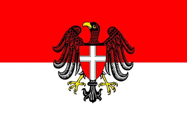 Простой Флаг Вены Правильный Размер Пропорциональные Цвета — стоковый вектор