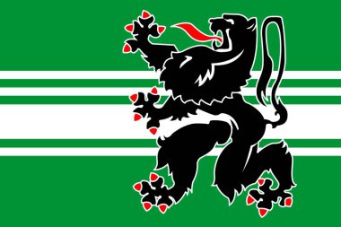 Bir Belçika devlet Doğu Flandre, basit bayraktır