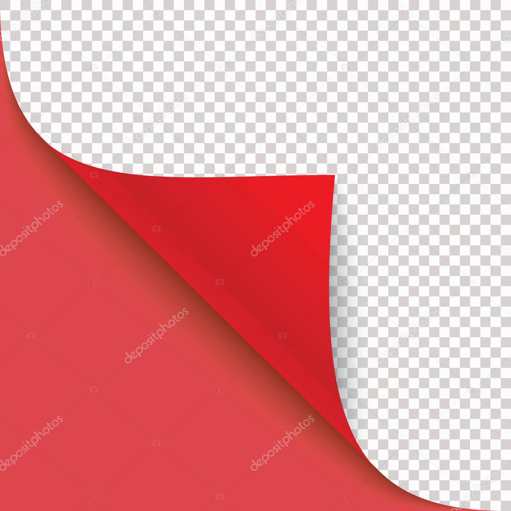 Curled corner of paper with shadow. Vector illustration