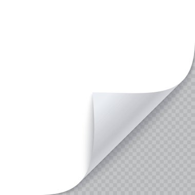 Kıvrılmış kağıt gölgeli köşesine. Vektör çizim