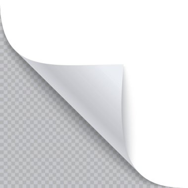 Kıvrılmış kağıt gölgeli köşesine. Vektör çizim