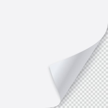 Kıvrılmış kağıt gölgeli köşesine. Vektör çizim