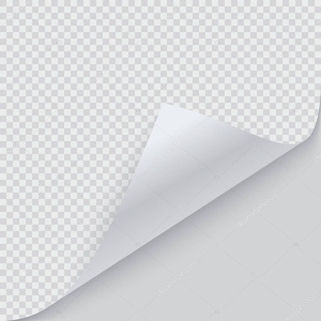 Curled corner of paper with shadow. Vector illustration