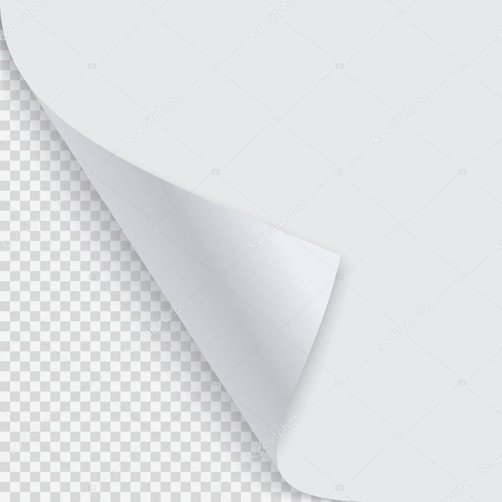 Curled corner of paper with shadow. Vector illustration