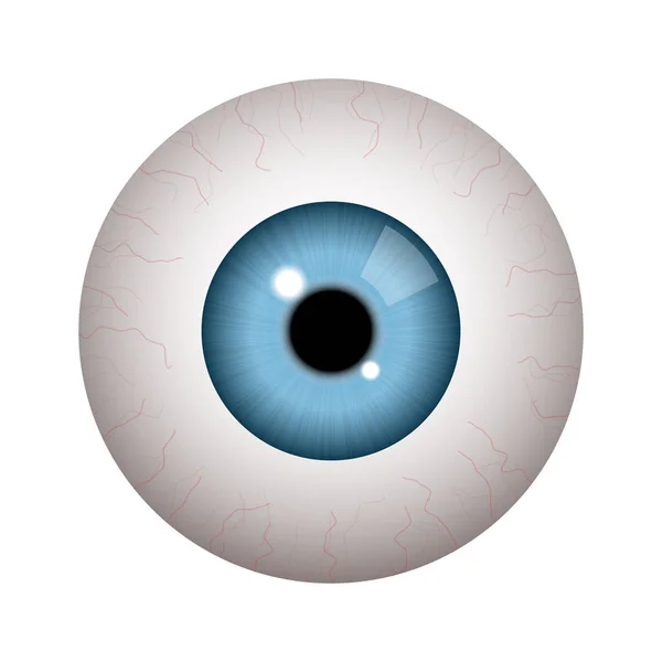 Realistiska mänskliga ögongloben — Stock vektor