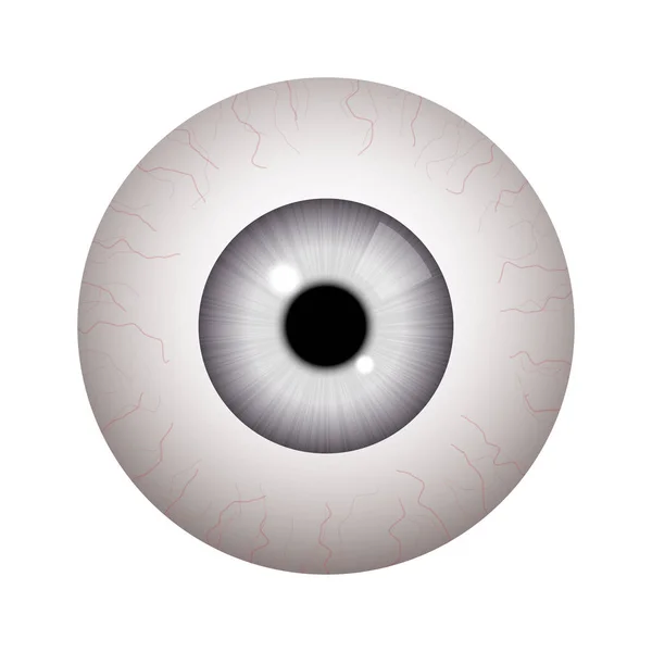 Bulbo oculare umano realistico — Vettoriale Stock