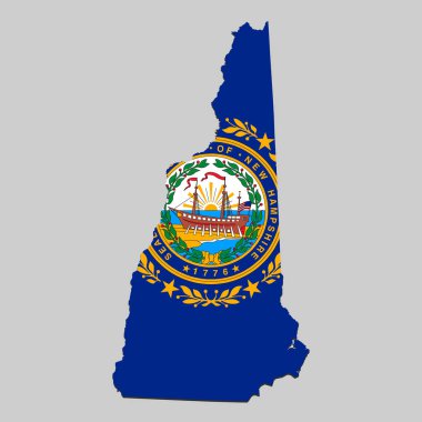 Ulusal bayrak ile harita. Vektör Illustration