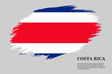 Fırça darbesi bayrağı . Vektör çizimi