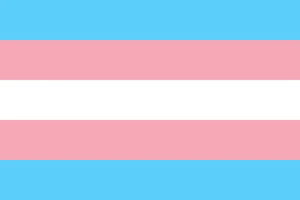 Transgender Pride flag — Stock Vector