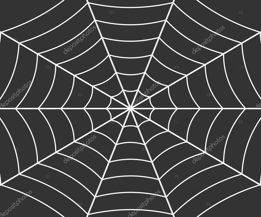 Spider web illustration, Vector cobweb . Template for your design