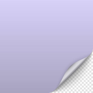 Sayfa curl gölge ile