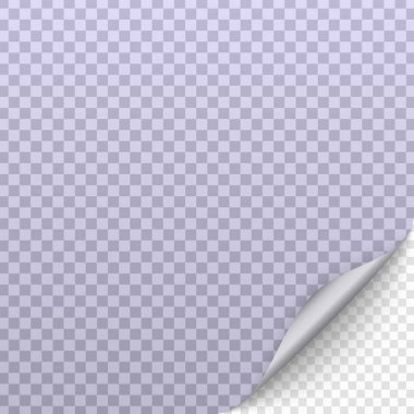 Sayfa curl gölge ile