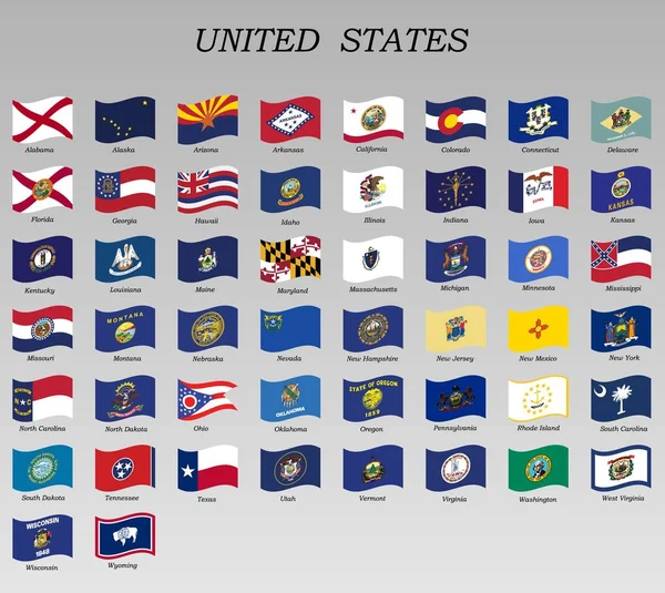 Reihe von schwenkenden Flaggen von Staaten der USA — Stockvektor