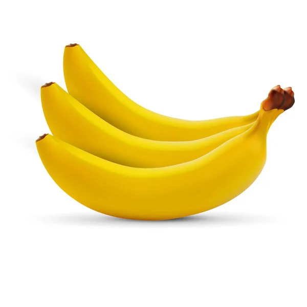 Plátano realista aislado sobre fondo blanco . — Vector de stock