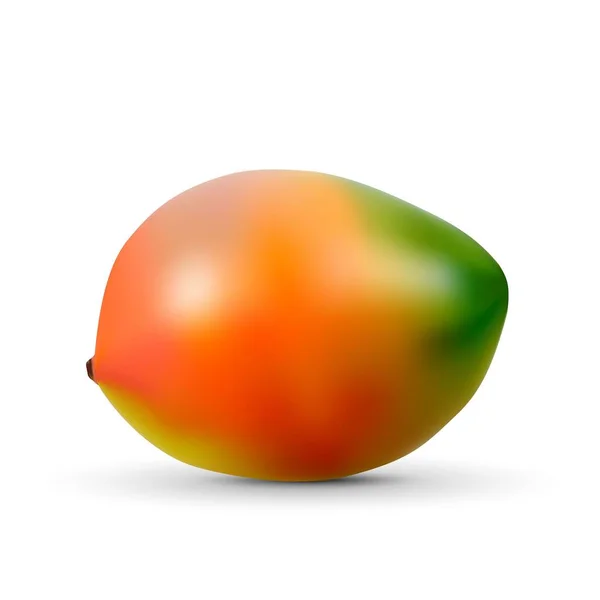 Realistische Mango isoliert auf weißem Hintergrund. — Stockvektor