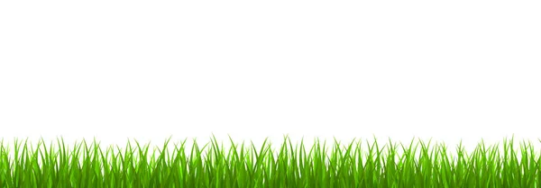 Frontera de hierba verde fresca — Vector de stock