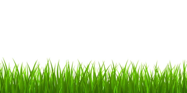 Frontera de hierba verde fresca — Vector de stock