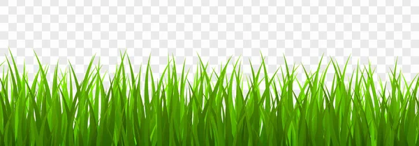 Frontière d'herbe verte fraîche — Image vectorielle