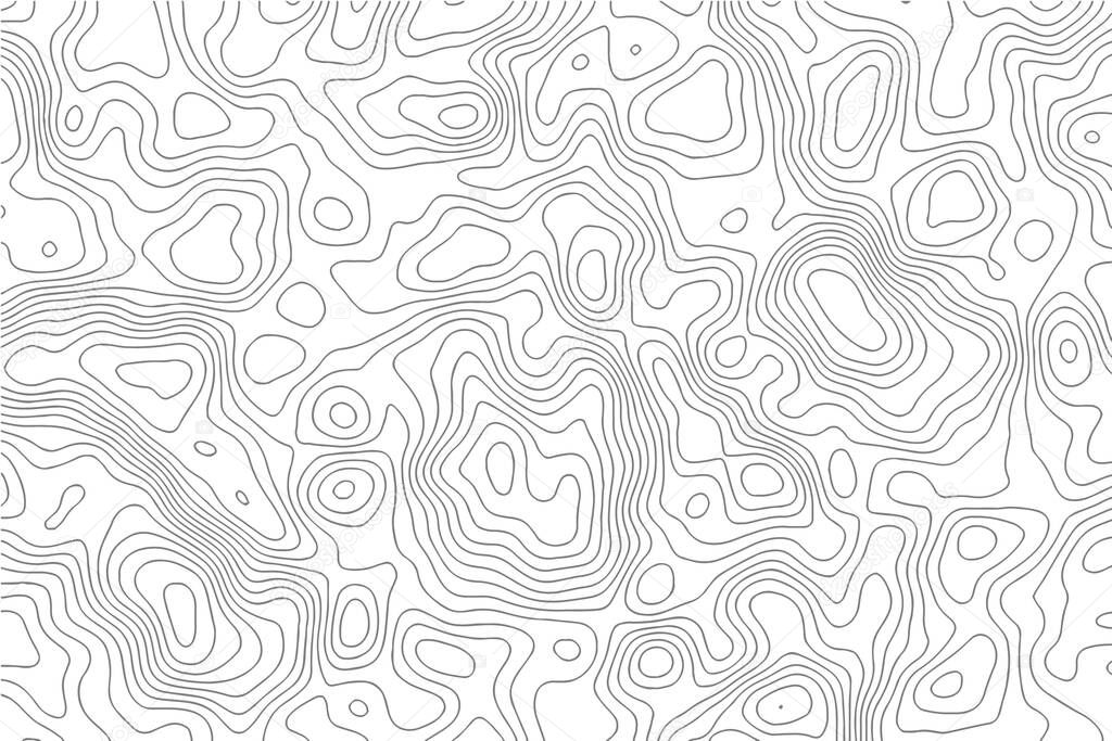 Topographic map texture, contour lines vector background