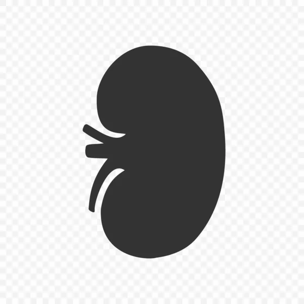 腎臓のヒト腎ベクトルアイコンは、あなたのデザインのためのテンプレート — ストックベクタ
