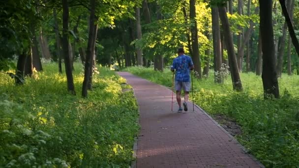 Nordic Walking im Park — Stockvideo