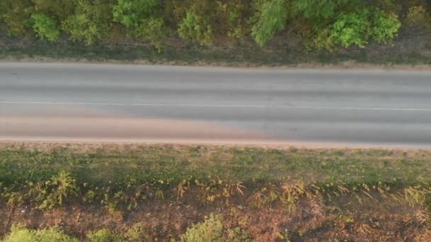 Aerial Flight over the road between fields. Autumn colors. Aerial of green countryside and car driving through. Flying behind and beside a white car driving though green nature with sun shining — Stockvideo