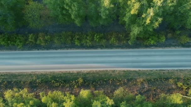 Luchtvlucht over de weg tussen velden. Herfst kleuren. Luchtfoto van groen platteland en auto rijden door. Vliegen achter en naast een witte auto rijden door groene natuur met zon schijnt — Stockvideo