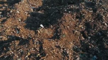 Çevre kirliliği. Ekolojik sorun. Gıda ve evsel atık depolama alanı çevresinde