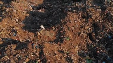 Çevre kirliliği. Ekolojik sorun. Gıda ve evsel atık depolama alanı çevresinde