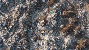 Çevre kirliliği. Ekolojik sorun. Gıda ve evsel atık depolama alanı çevresinde