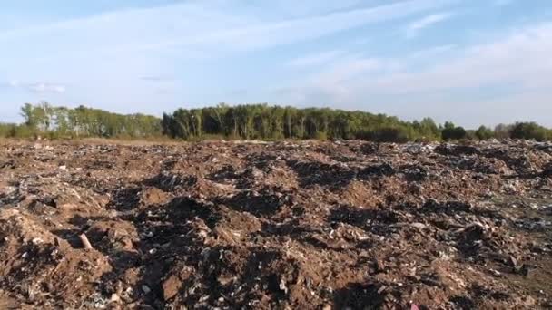 Environmental pollution. Ecological problem. In the vicinity of the food and household waste landfill — Stock Video