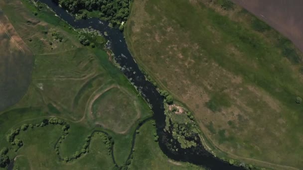 Nehir üst görünümü, onun kıyısında ağaçlar ve çayırlarla çevrili, yukarıdan görünümü - hava — Stok video
