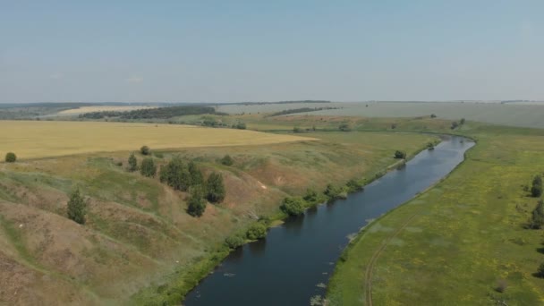 Vista superior do rio, rodeado por árvores e prados nas suas margens, vista de cima - aérea — Vídeo de Stock